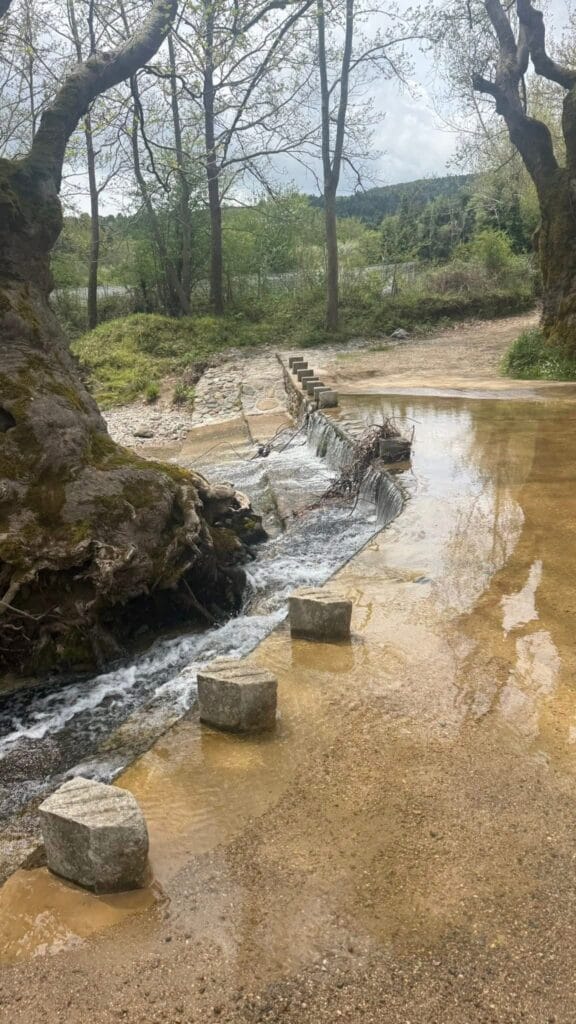 Πέρασμα σε ρηχό δασικό ρέμα με μικρό φράγμα/νεροφράχτη και πέτρες‑σκαλοπάτια μέσα στο νερό, με την κοίτη να απλώνεται δεξιά