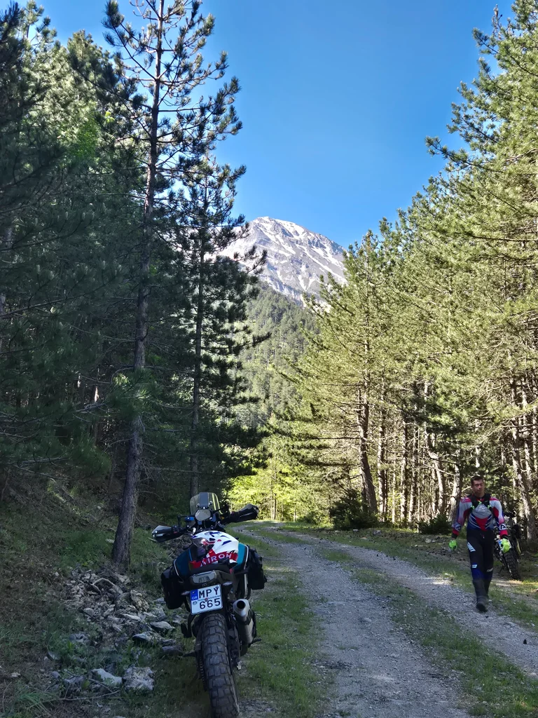 Adventure μοτοσυκλέτα σε χωματόδρομο στον Όλυμπο με δάσος και κορυφή στο βάθος