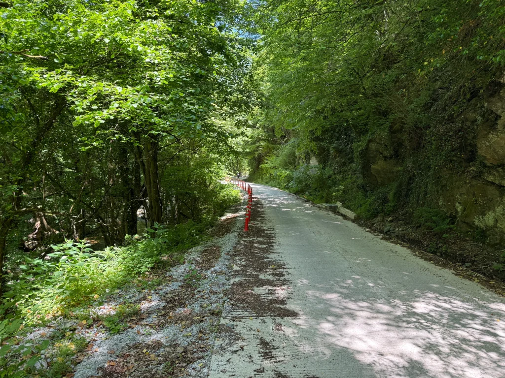 Στενός ορεινός δρόμος μέσα σε πυκνή βλάστηση στον Όλυμπο κατά τη διαδρομή του AdvTroffy 2026